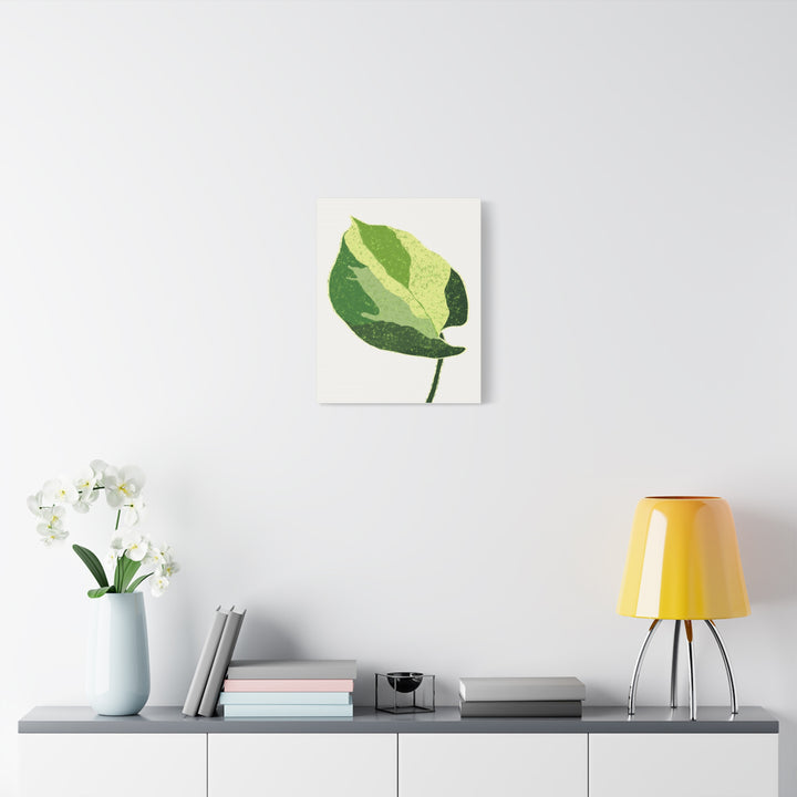 Manjula Pothos Botanical Canvas Print Matte Finish Stretched Canvas Wall Art 1.25 Inch Depth