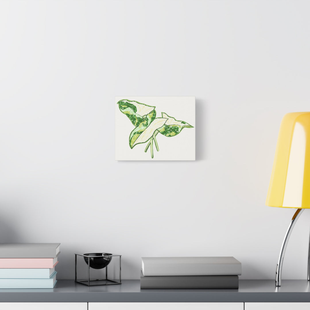Marble Syngonium Canvas Botanical Wall Art Stretched Print On Durable Cotton Canvas Matte Finish