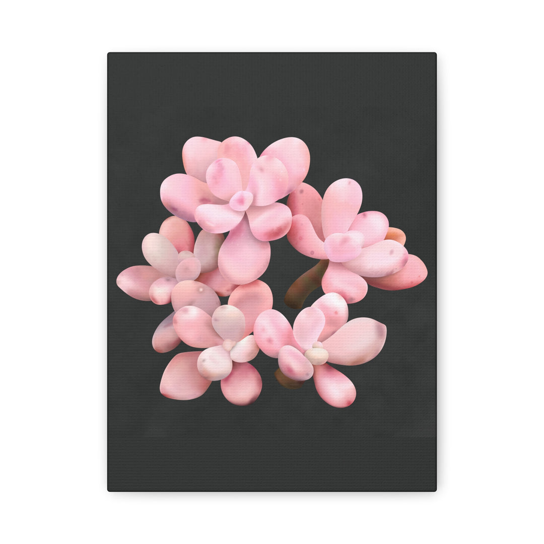 Pink Moonstone Canvas Print – Botanical Wall Art