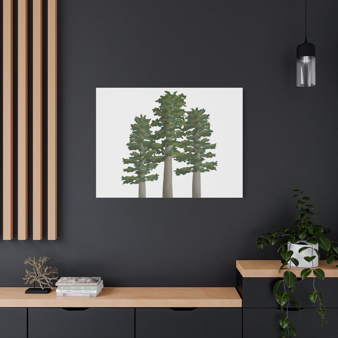 Sitka Spruce Canvas Print – Wall Art