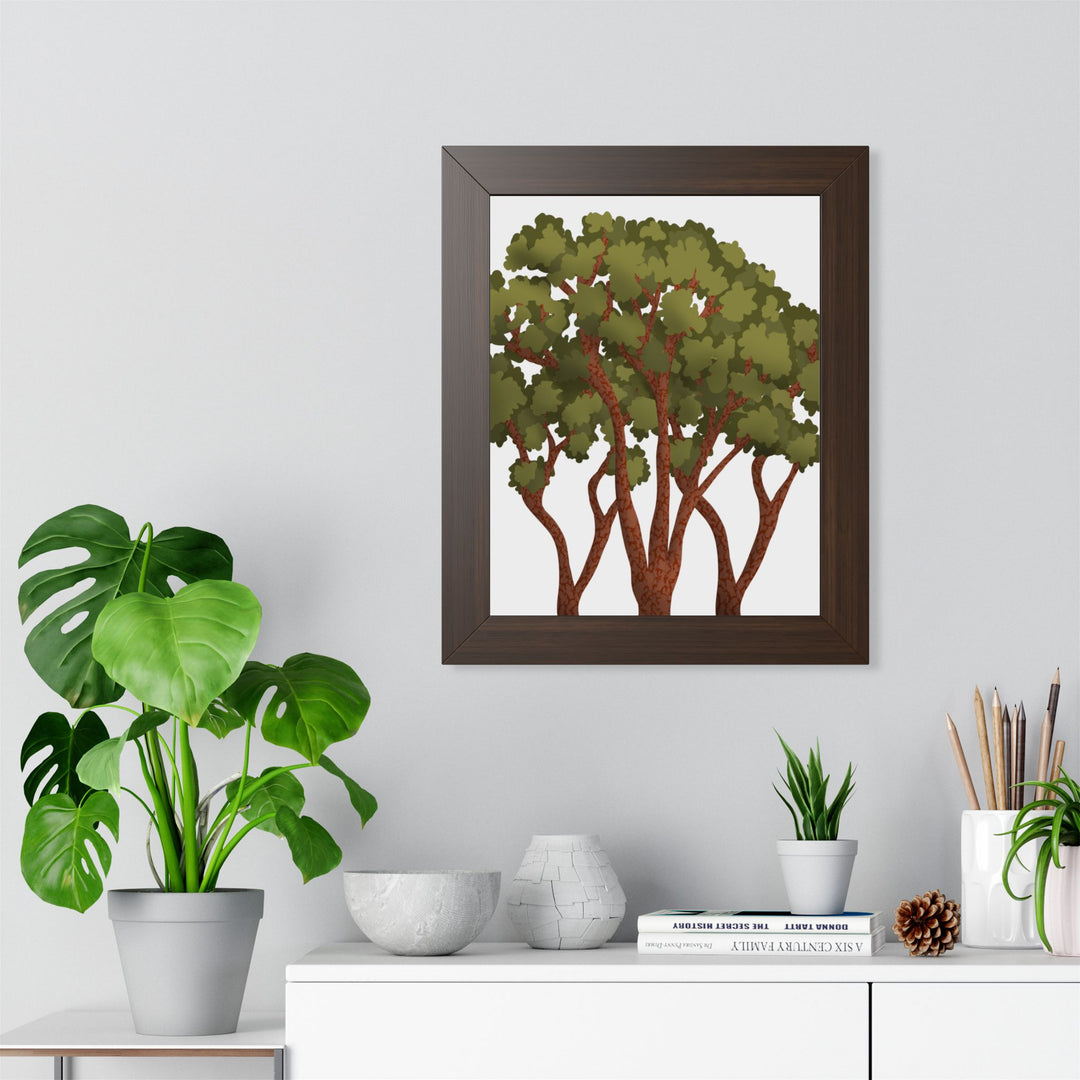 Pacific Madrone Framed Print – Wall Art