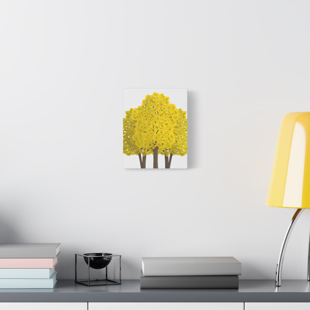 Big Leaf Maple Canvas Print – Wall Art