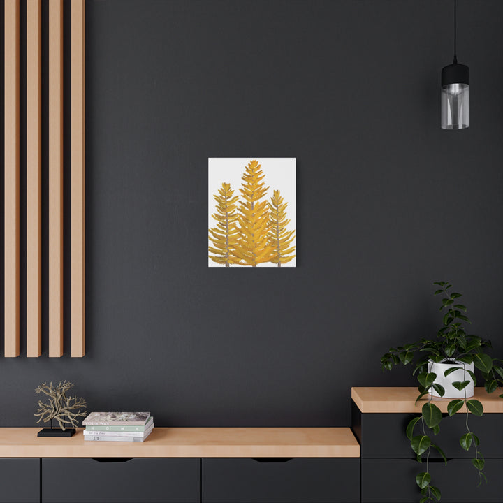 Western Larch Canvas Print – Wall Art