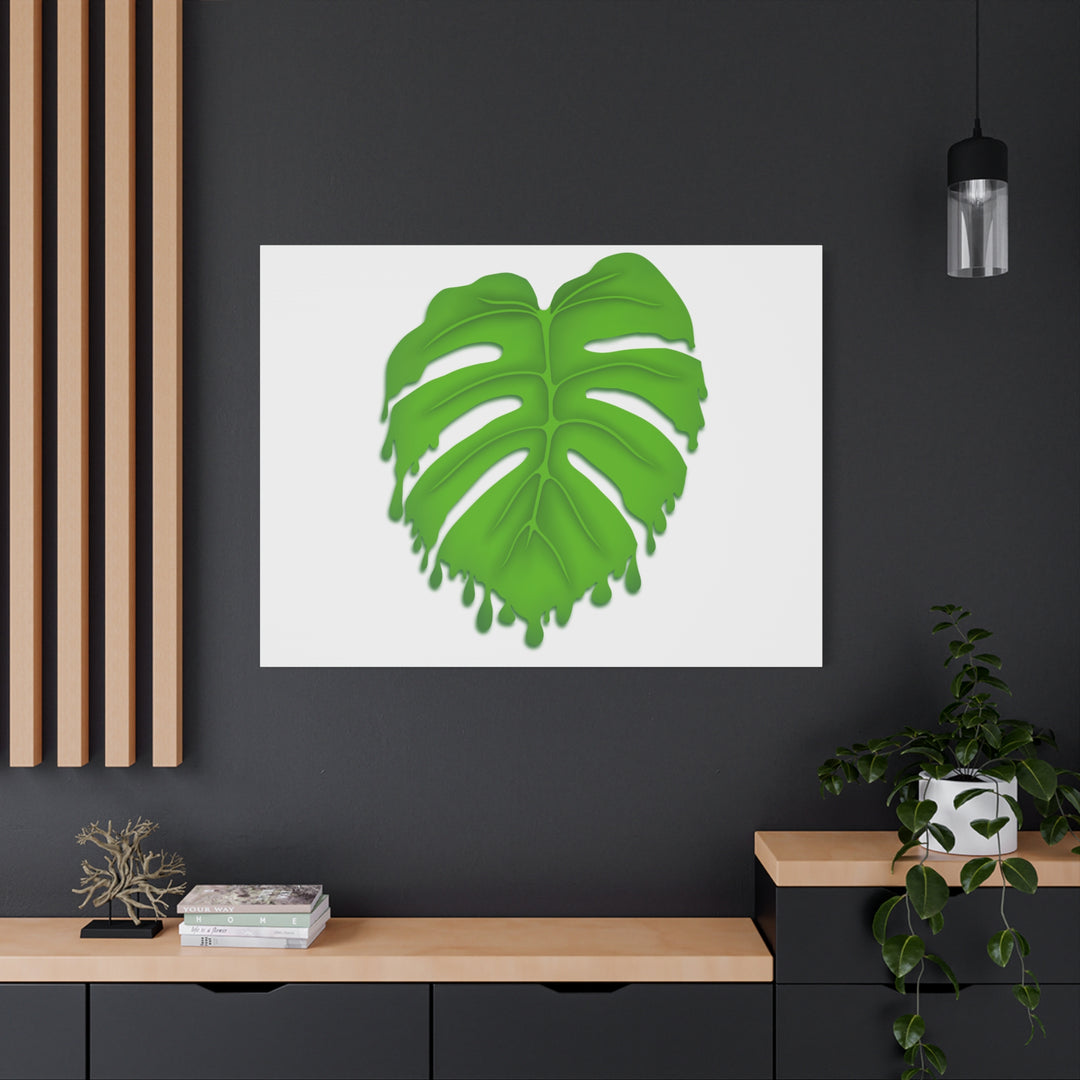Melting Monstera Canvas Wall Art Large Botanical Print On Premium Cotton With Matte Finish For Indoor Decor