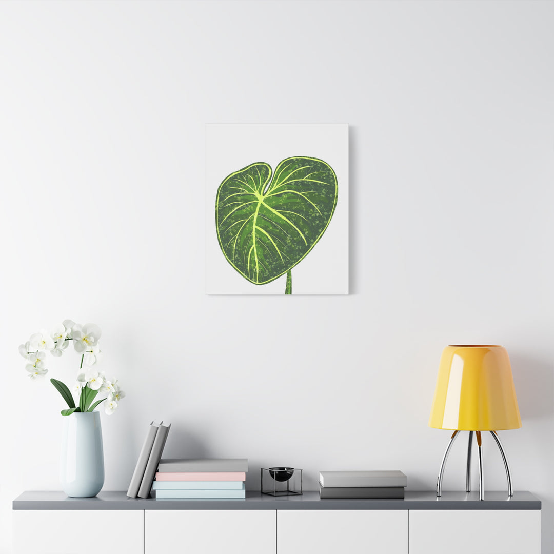 Philodendron Gloriosum Canvas Print Stretched Wall Art Botanical Leaf Print Matte Finish Gallery Wrapped Canvas