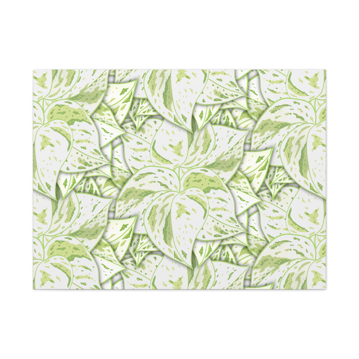 Snow Queen Pothos Canvas Print With Variegated White Leaves In Matte Finish For Modern Home Decor