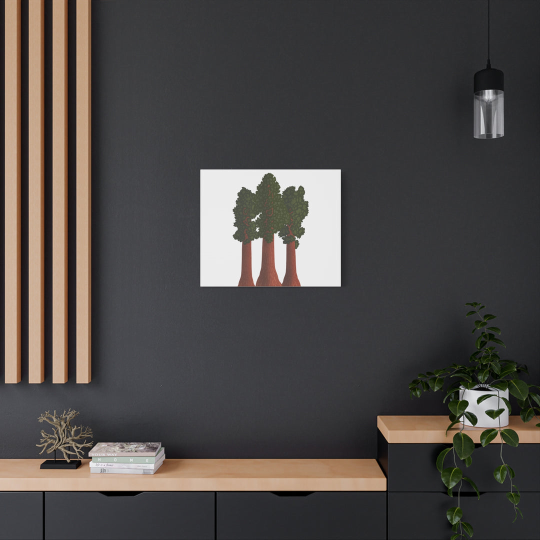 Giant Sequoias Canvas Print – Wall Art