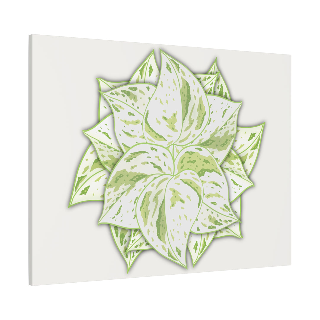 Snow Queen Pothos Canvas Wall Art Variegated Indoor Plant Leaf Poster Print Cotton Canvas
