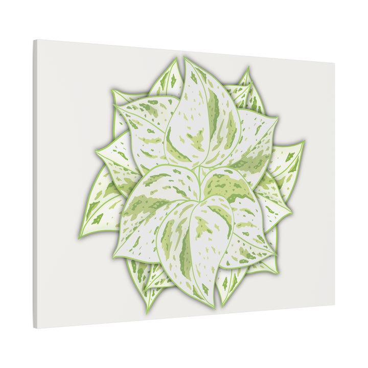 Snow Queen Pothos Canvas Wall Art Variegated Indoor Plant Leaf Poster Print Cotton Canvas