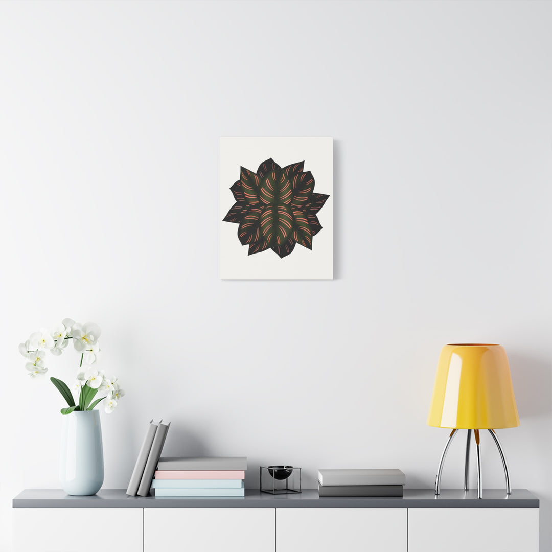 Calathea Pinstripe Canvas Botanical Wall Art Print On Stretched Cotton Canvas For Living Room Decor