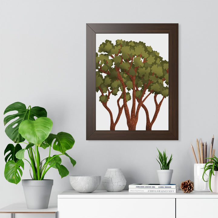Pacific Madrone Framed Print – Wall Art