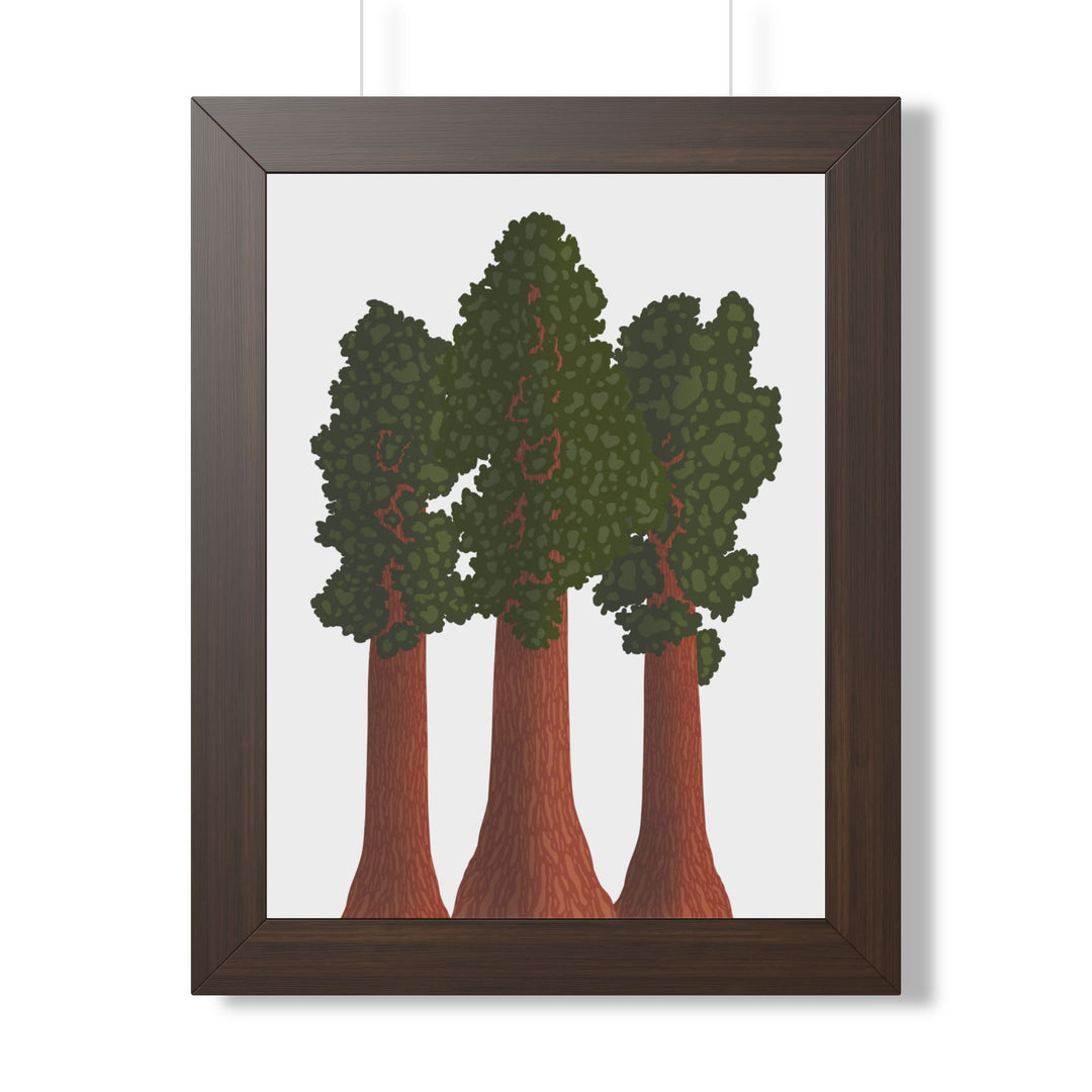 Giant Sequoias Framed Print – Wall Art