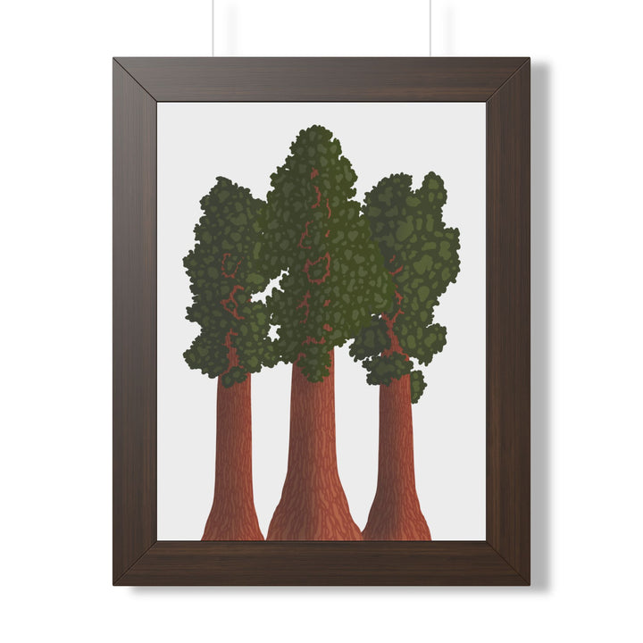 Giant Sequoias Framed Print – Wall Art