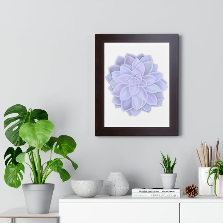 Graptopetalum Murasaki Succulent Framed Print – Botanical Wall Art - The Potted Pixel