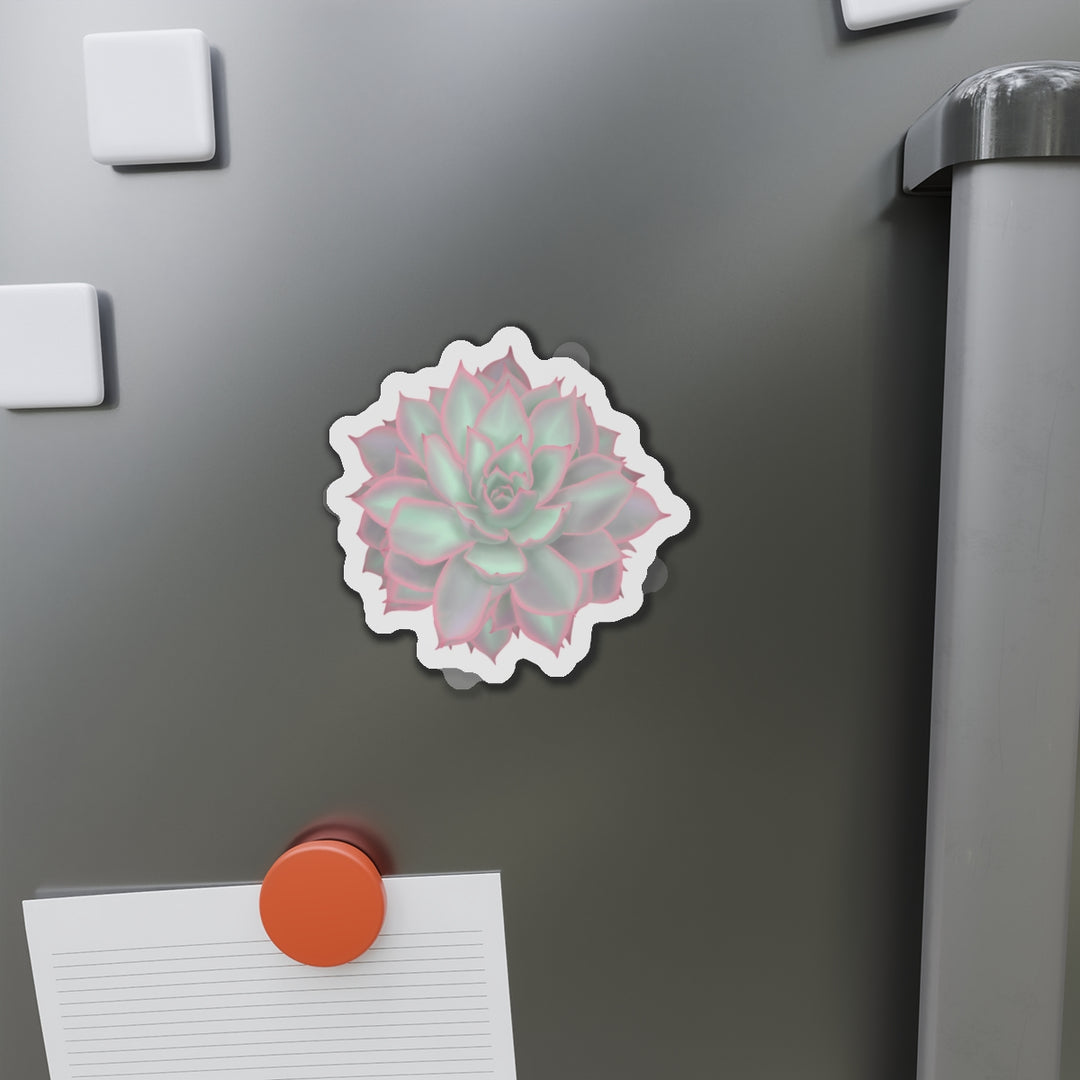 Echeveria Violet Queen Succulent Magnet