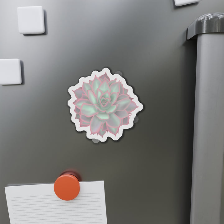 Echeveria Violet Queen Succulent Magnet