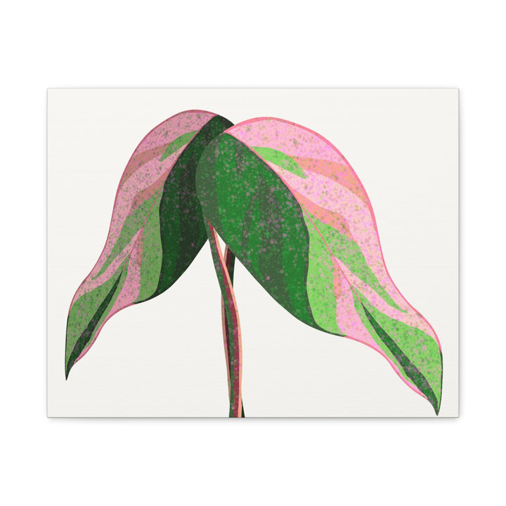 Pink Princess Philodendron Canvas Print Botanical Wall Art For Indoor Decor Modern Living Room Poster