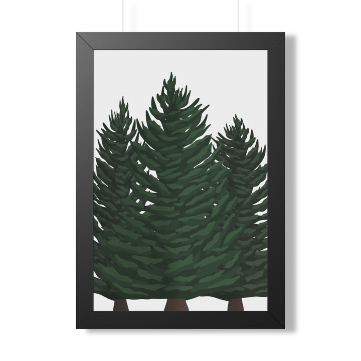 Douglas Fir Framed Print – Wall Art