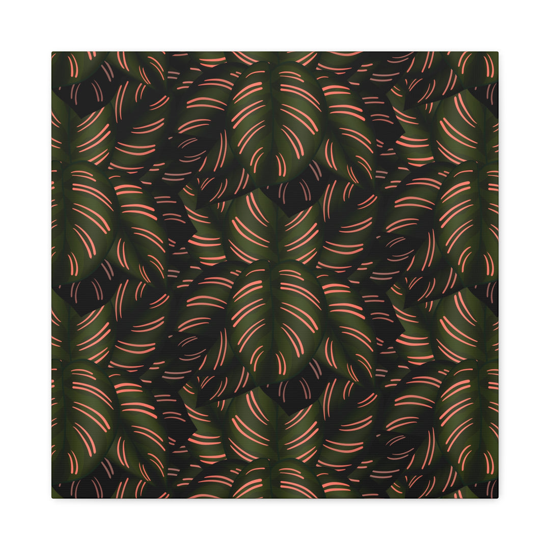 Calathea Pinstripe Canvas Print With Matte Finish Stretched Botanical Wall Art For Living Room Decor