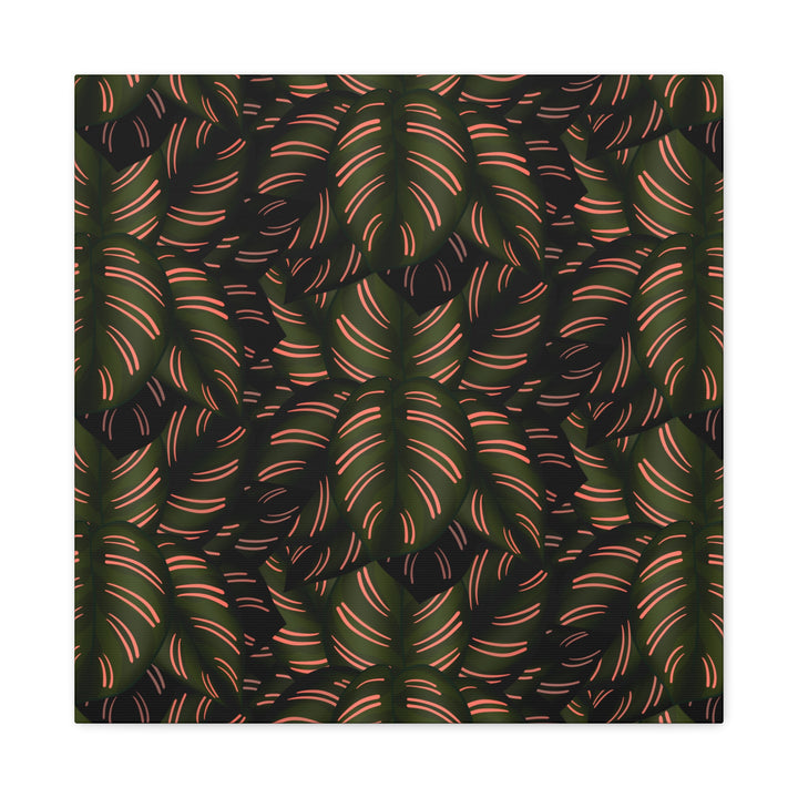 Calathea Pinstripe Canvas Print With Matte Finish Stretched Botanical Wall Art For Living Room Decor