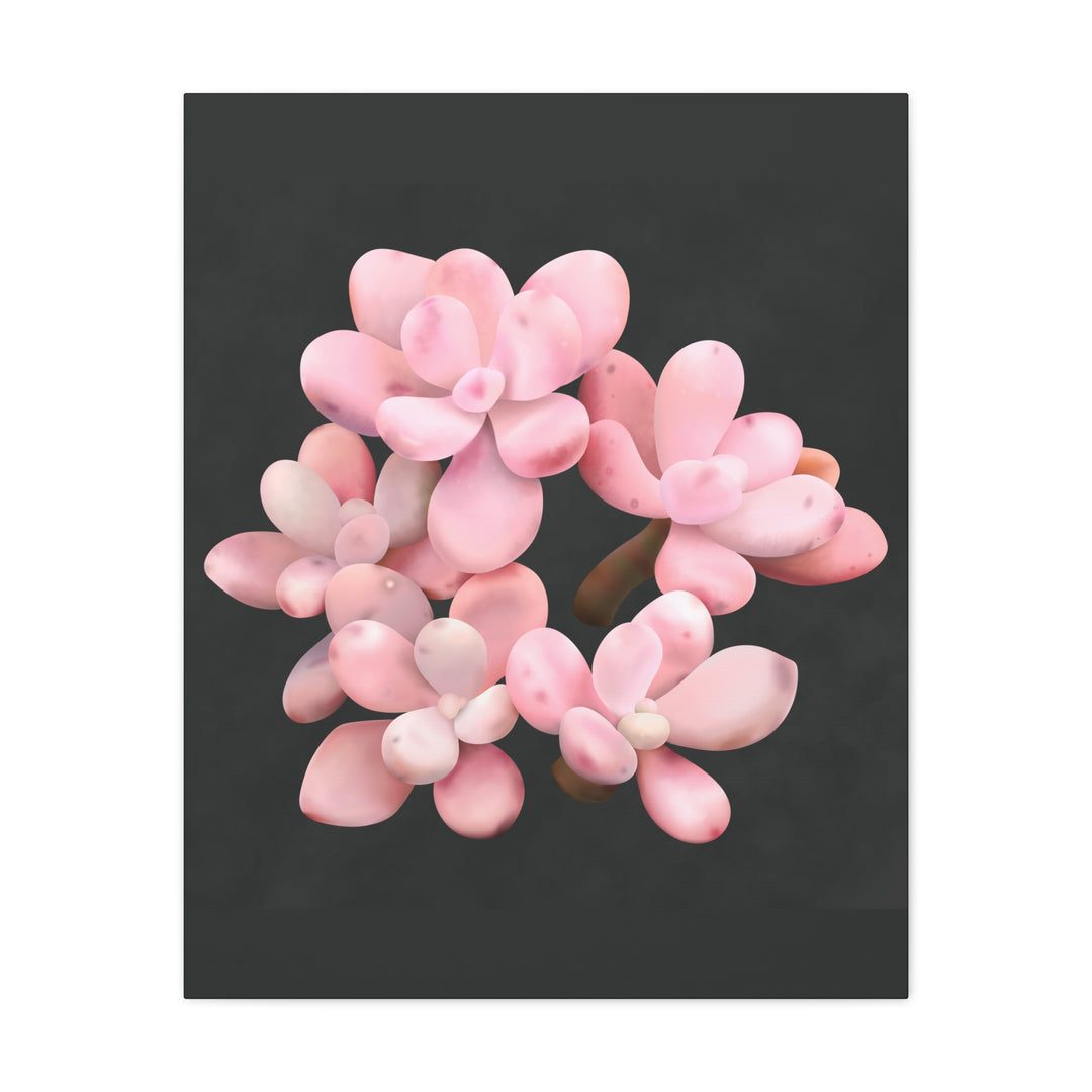 Pink Moonstone Canvas Print – Botanical Wall Art