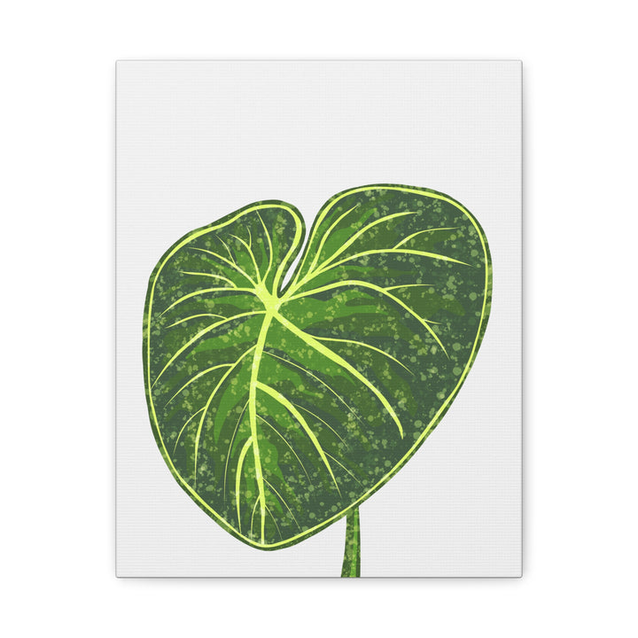 Philodendron Gloriosum Canvas Print Stretched Wall Art Botanical Leaf Print Matte Finish Gallery Wrapped Canvas