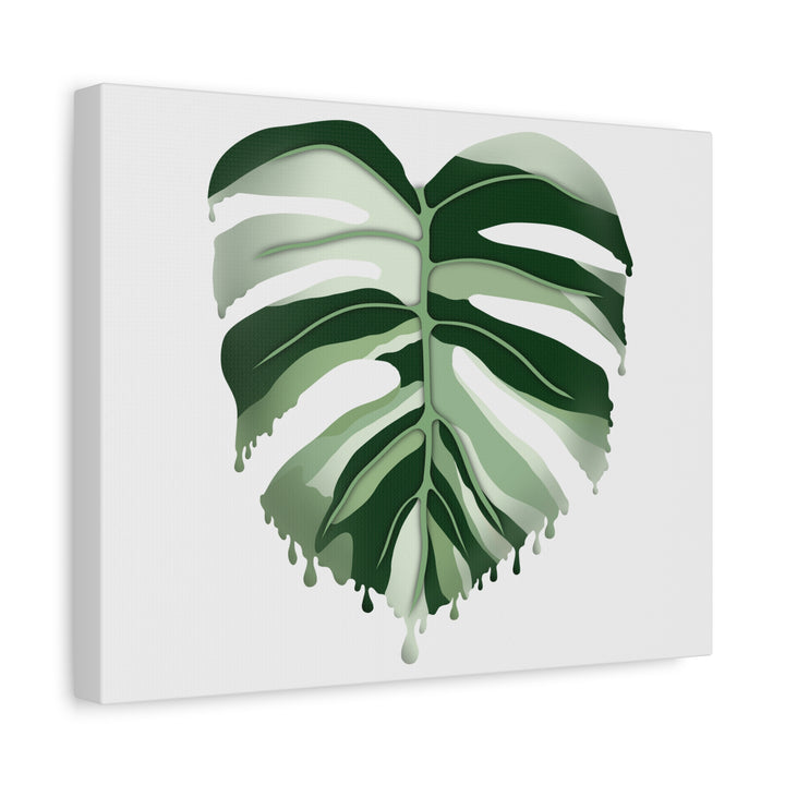 Melting Monstera Albo Canvas Large Indoor Wall Art Print Matte Finish Tropical Home Decor