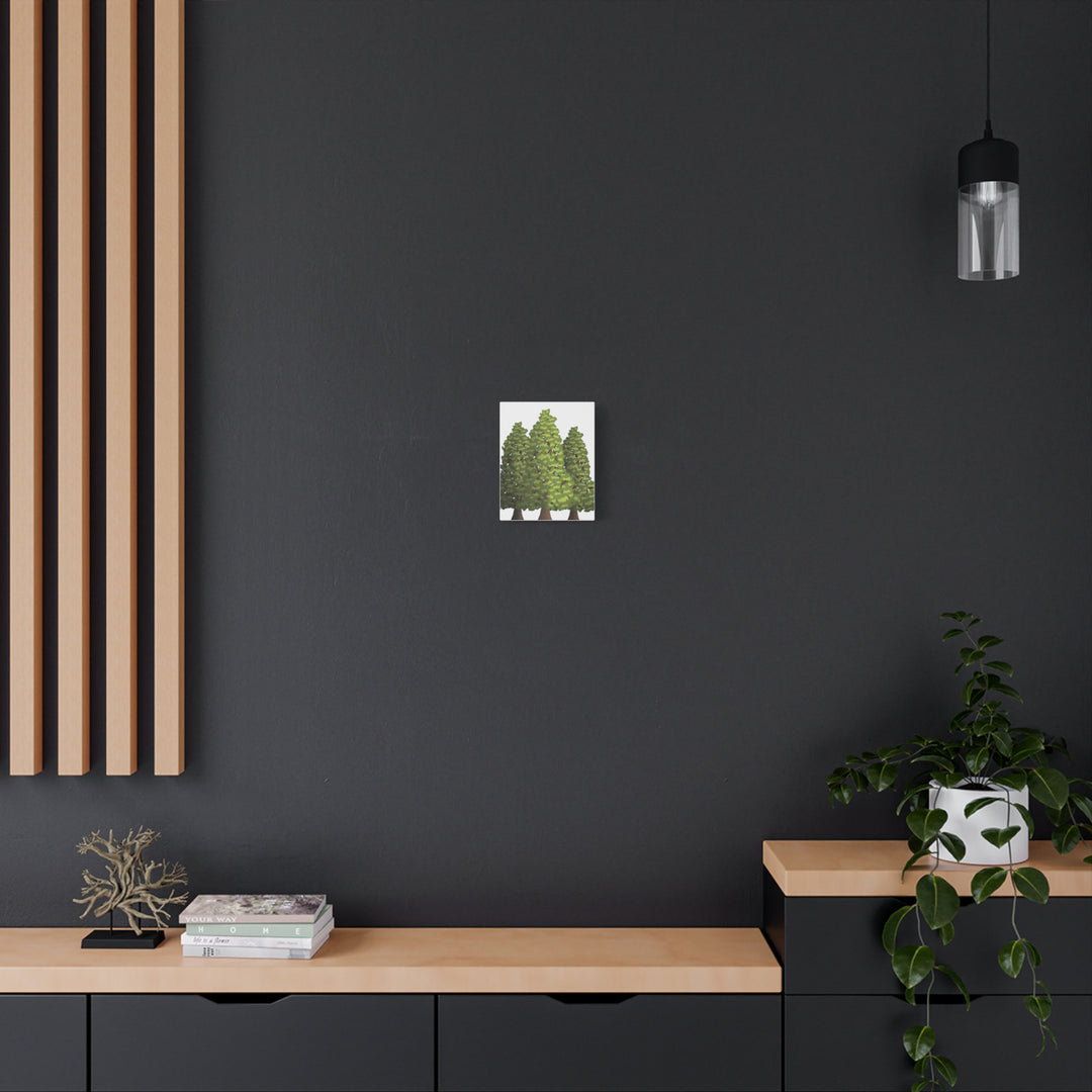 Incense Cedar Canvas Print – Wall Art