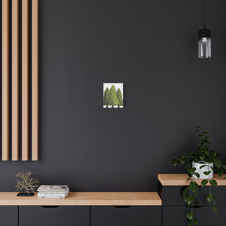 Incense Cedar Canvas Print – Wall Art