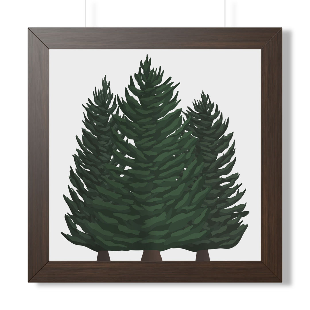 Douglas Fir Framed Print – Wall Art