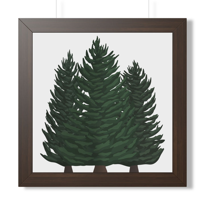 Douglas Fir Framed Print – Wall Art