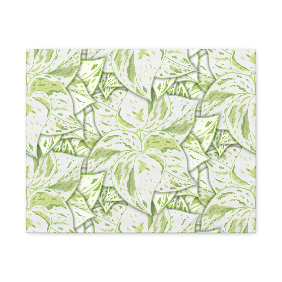 Snow Queen Pothos Canvas Print With Variegated White Leaves In Matte Finish For Modern Home Decor