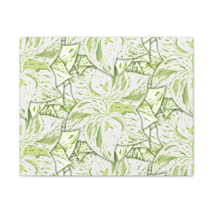 Snow Queen Pothos Canvas Print With Variegated White Leaves In Matte Finish For Modern Home Decor