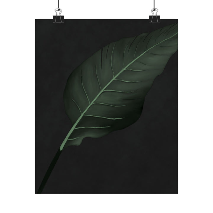 Bird of Paradise Botanical Print – Unframed Wall Art