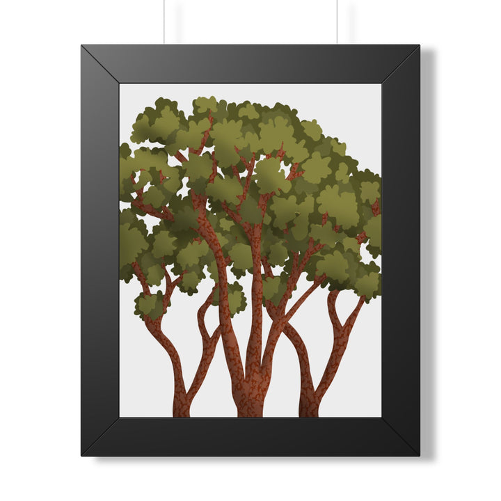 Pacific Madrone Framed Print – Wall Art