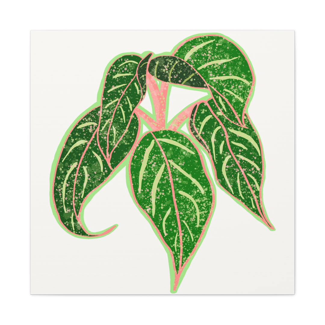 Aglaonema Sparkling Sarah Botanical Canvas Print On Matte Stretch Canvas For Modern Living Room Decor
