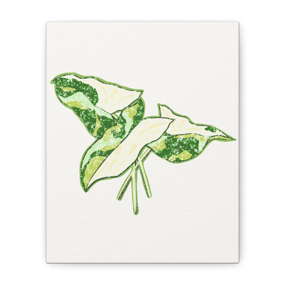 Marble Syngonium Canvas Botanical Wall Art Stretched Print On Durable Cotton Canvas Matte Finish