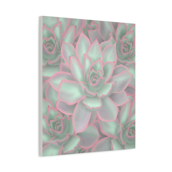 Echeveria Violet Queen Canvas Wall Art Succulent Print Matte Botanical Decor For Indoor Spaces