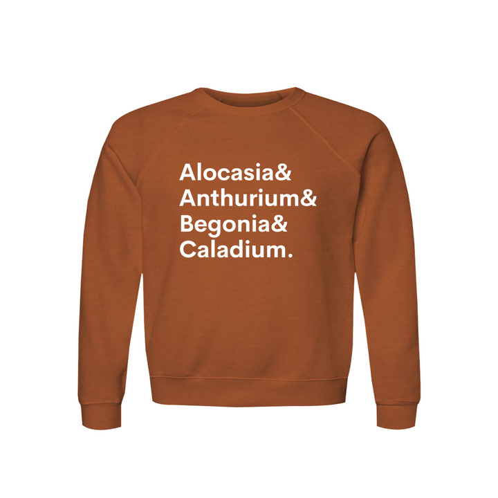 Apparel-DTG-Sweatshirt-Bella-3901-L-Autumn-Unisex-CF-20260810195524641