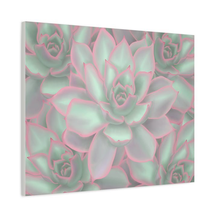 Echeveria Violet Queen Canvas Wall Art Succulent Print Matte Botanical Decor For Indoor Spaces