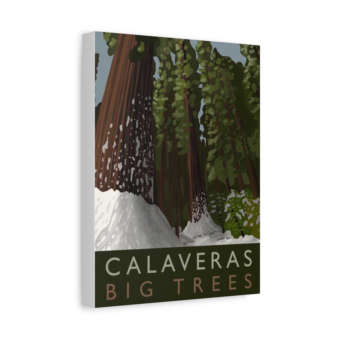 Calaveras Big Trees Canvas Print – Wall Art