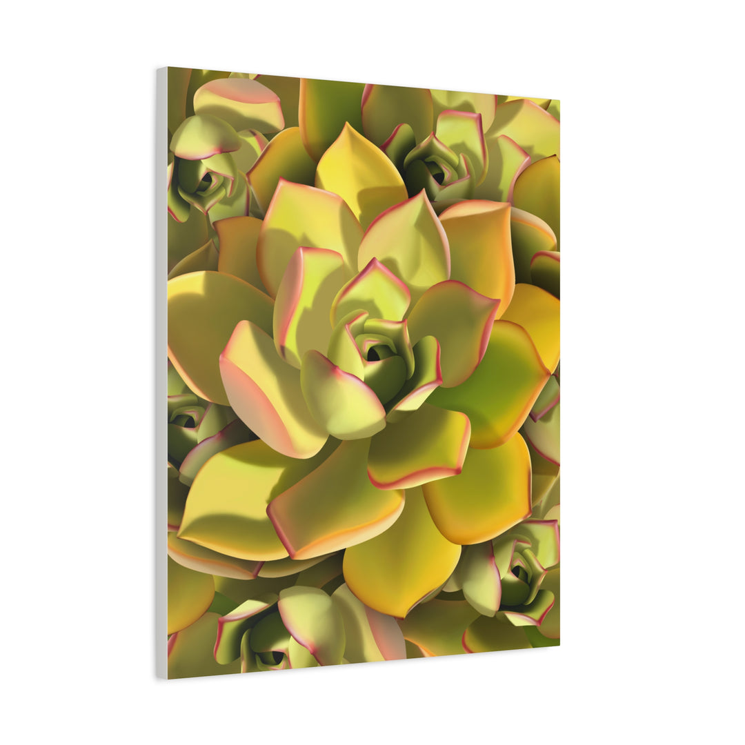 Succulent Canvas Art Vibrant Aeonium Print On Matte Canvas Wall Decor 12x18 Inches Indoor Home