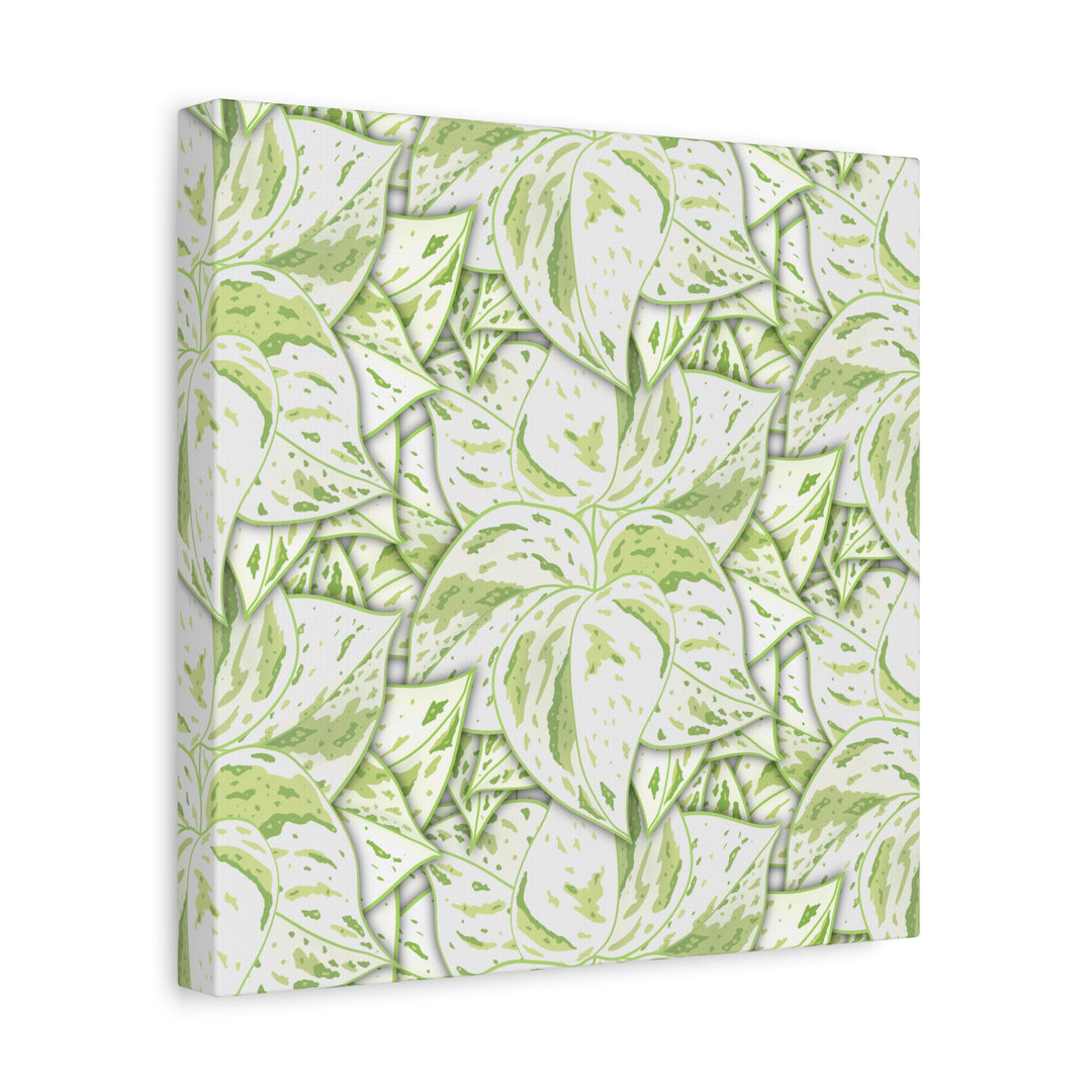 Snow Queen Pothos Canvas Print With Variegated White Leaves In Matte Finish For Modern Home Decor
