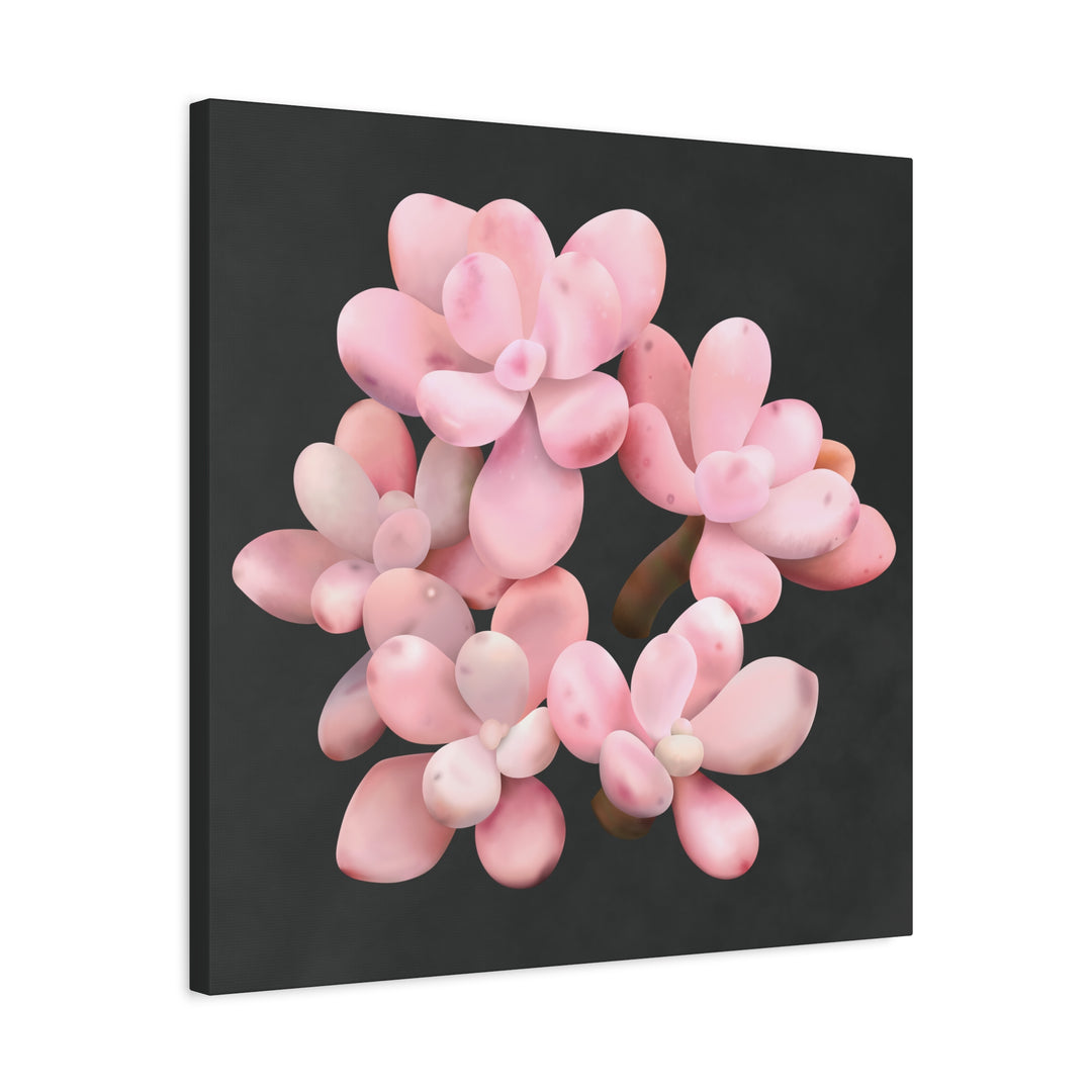 Pink Moonstone Canvas Print – Botanical Wall Art