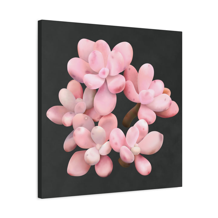 Pink Moonstone Canvas Print – Botanical Wall Art