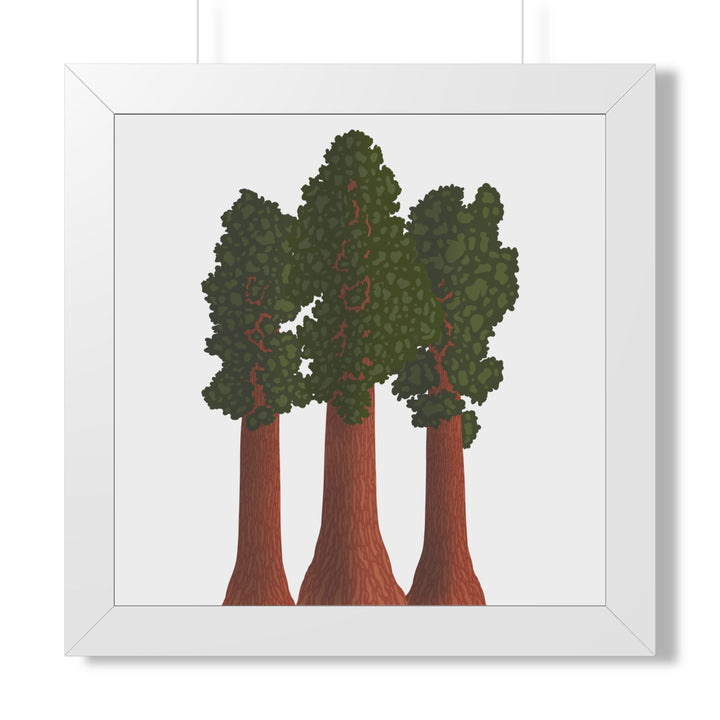 Giant Sequoias Framed Print – Wall Art