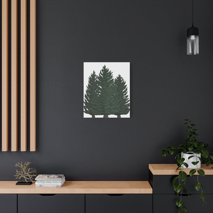 Douglas Fir Canvas Print – Wall Art