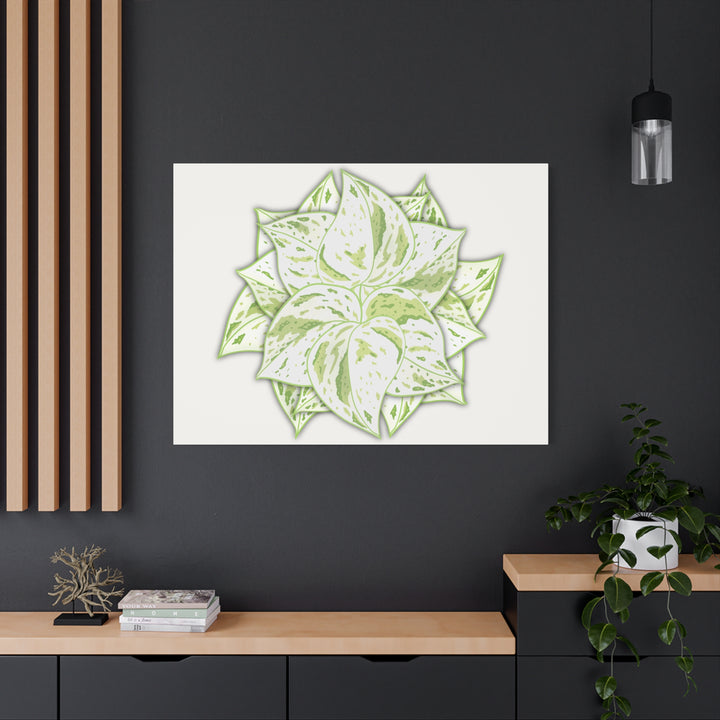 Snow Queen Pothos Canvas Wall Art Variegated Indoor Plant Leaf Poster Print Cotton Canvas