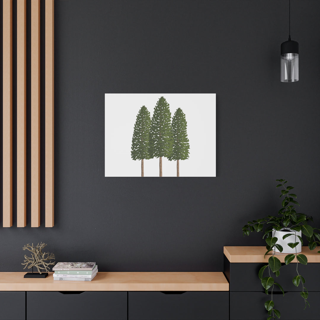 Three Ponderosa Pine Canvas Wall Art Matte Stretched Print Minimalist Forest Landscape Decor