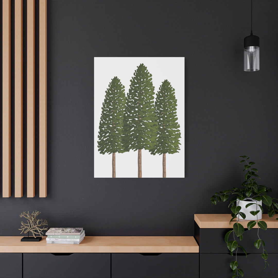 Three Ponderosa Pine Canvas Wall Art Matte Stretched Print Minimalist Forest Landscape Decor